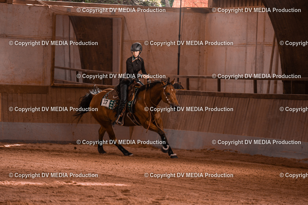 NE201156 | dv-media-shop - Realisiert mit Pictrs.com