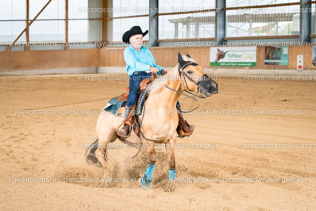 DSC02337 | Pferdegrafie