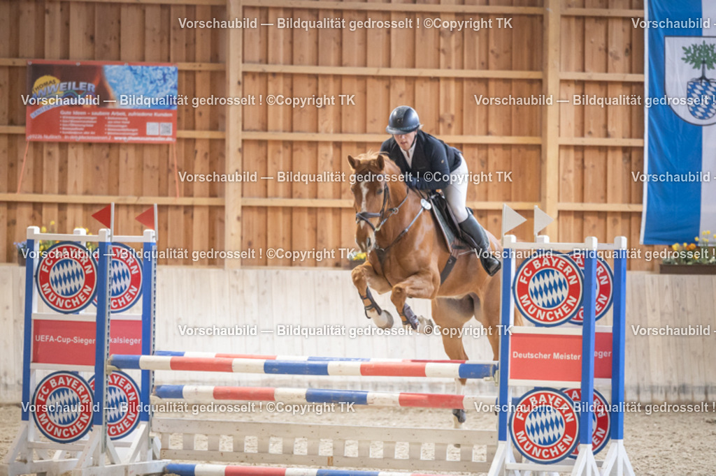 _D5A7873 | Emotionale Pferde- & People-Fotografie rund um Heidelberg, Leimen & Umgebung. Natürliche Fotos von Pferd, Mensch & Familie. Jetzt Termin sichern!