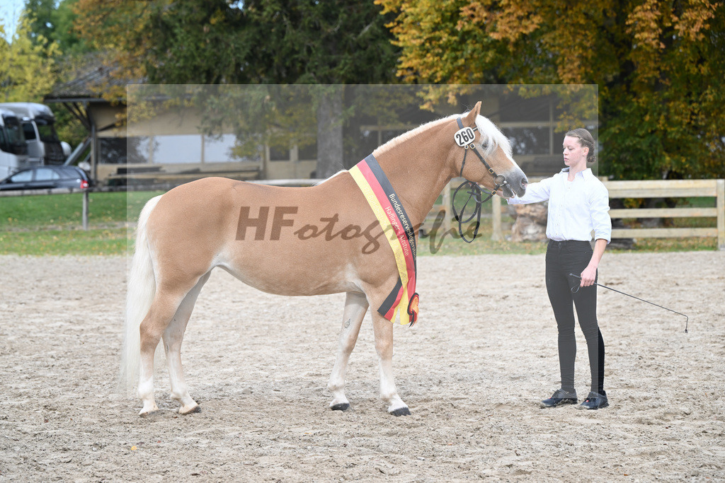 Kat-Nr. 260 Okara_Kargel_54223410 | hf-fotografie - Realisiert mit Pictrs.com