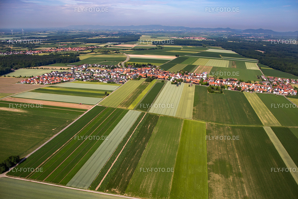 Ortsansicht | Luftbild: Ortsansicht im Ortsteil Hayna in Herxheim im Bundesland Rheinland-Pfalz in Deutschland. Foto: IMG_081023.jpg vom 14.06.2015 durch Werner Riehm/FLY-FOTO.de - Realisiert mit Pictrs.com