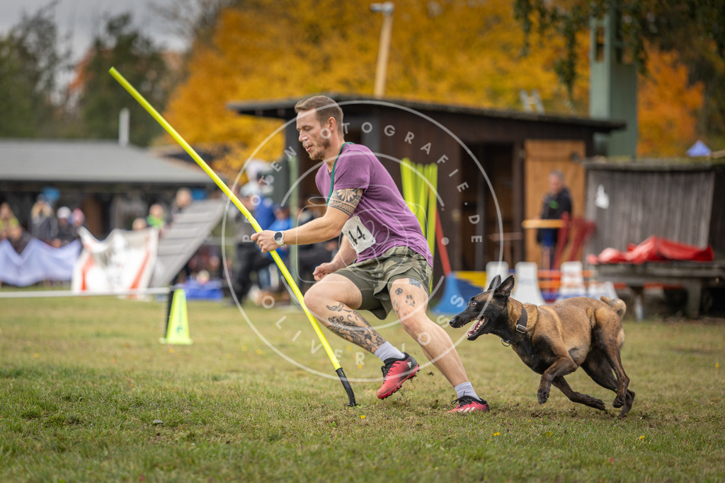 Pfotenfotografie_DV3A7823 | Hundefotografie, Tierfotograf, Pfotenfotografie, Fotoshooting Hund, Hunde Portrait, Hundesport, Hundeportraits, Heideshooting, Hunde, Sportfotograf, Hundefotograf, Turnierhundsport, THS,  - Realisiert mit Pictrs.com