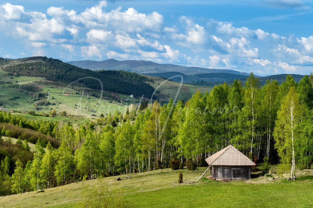 Javor | Javor Gebirge in Serbien