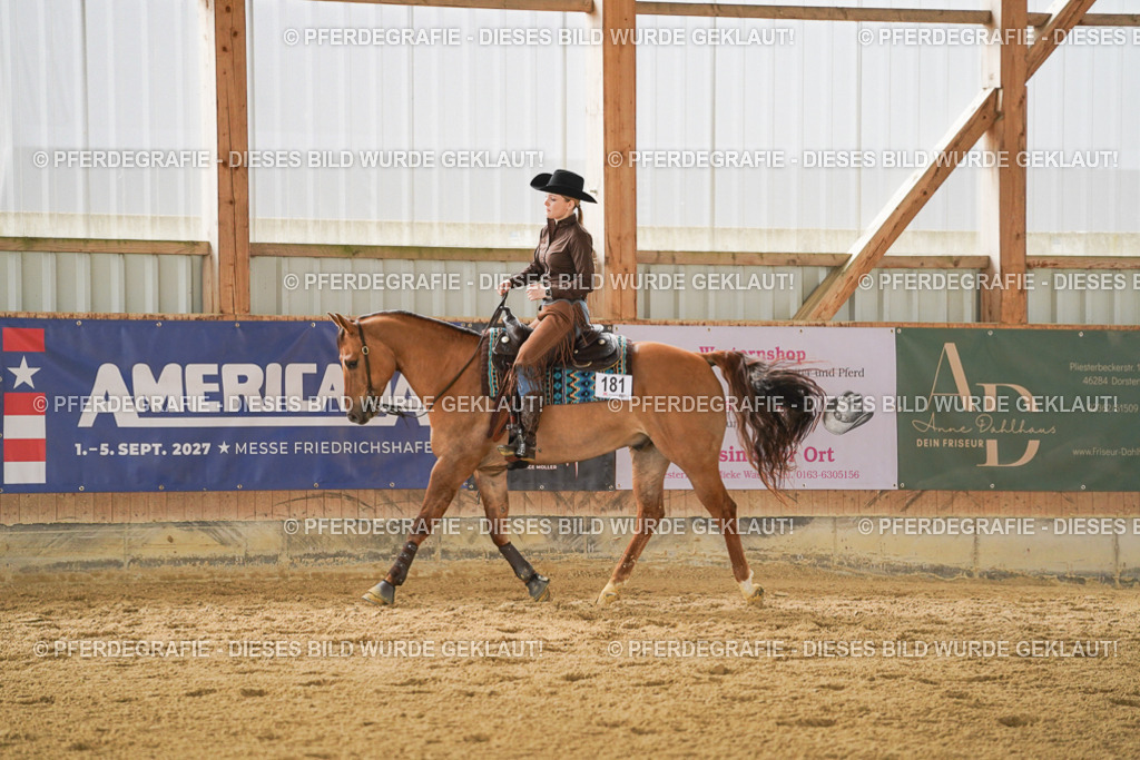 DSC04647 | Pferdegrafie