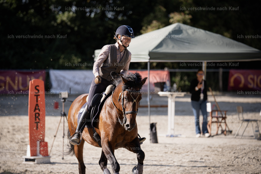 WS_SP_46_SinaFilmArt_IN09483 | working equitationturnier fotograf videograf stoibphotography marixx film working equitation deutschland reitsport turnierfotografie eventfotografie equestrian events