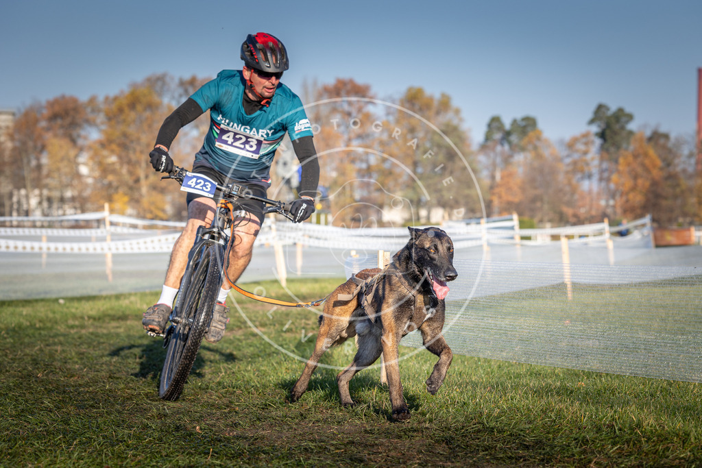 CaniXpix_0L8A4190 | Hundefotografie, Tierfotograf, Pfotenfotografie, Fotoshooting Hund, Hunde Portrait, Hundesport, Hundeportraits, Heideshooting, Hunde, Sportfotograf, Hundefotograf, Turnierhundsport, THS,  - Realisiert mit Pictrs.com