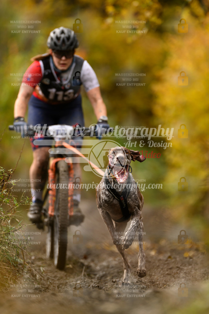MompixPhotography_ICF_WC_2024_SA_Bike_-88 | PayLife
