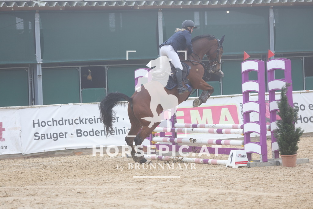 0P6A0428 | Willkommen bei Brunnmayr - Design & Fotografie – Ihrem Spezialisten für Reitturniere und Pferdeveranstaltungen in Oberösterreich, Salzburg und Bayern! Seit über 17 Jahren sind wir leidenschaftlich dabei.