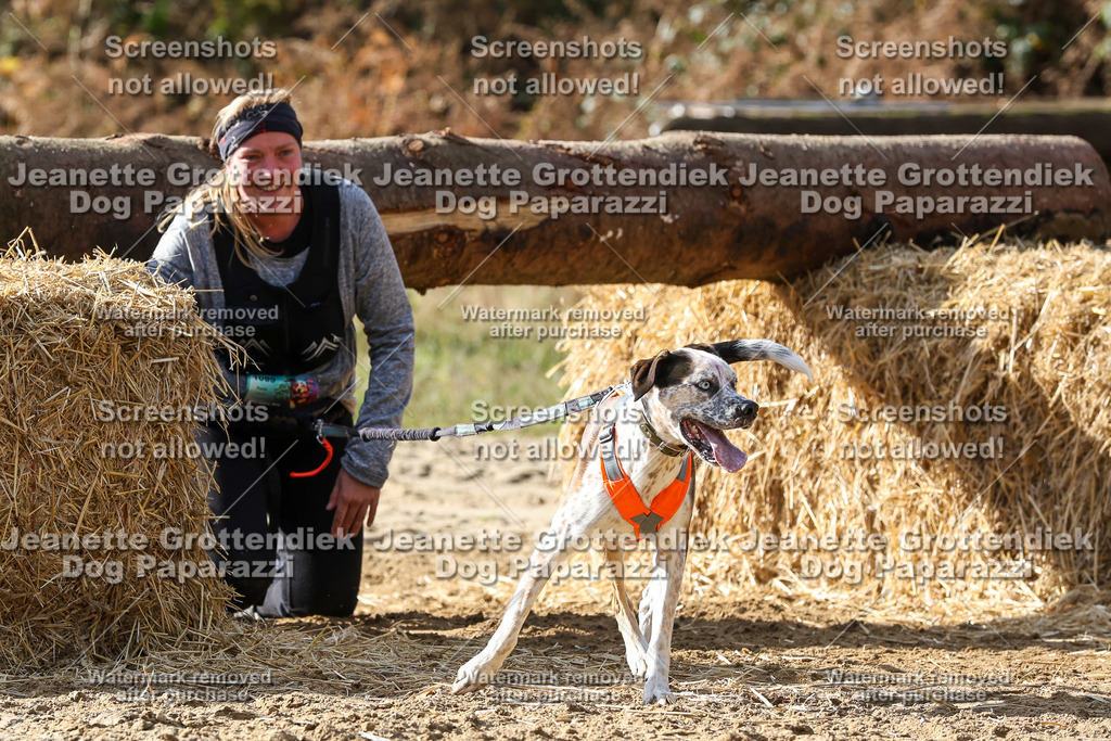 Dog Paparazzi - Strongdog 10-25-5614 | Dog Paparazzi Jeanette Grottendiek Fotografie & Videografie - Realisiert mit Pictrs.com