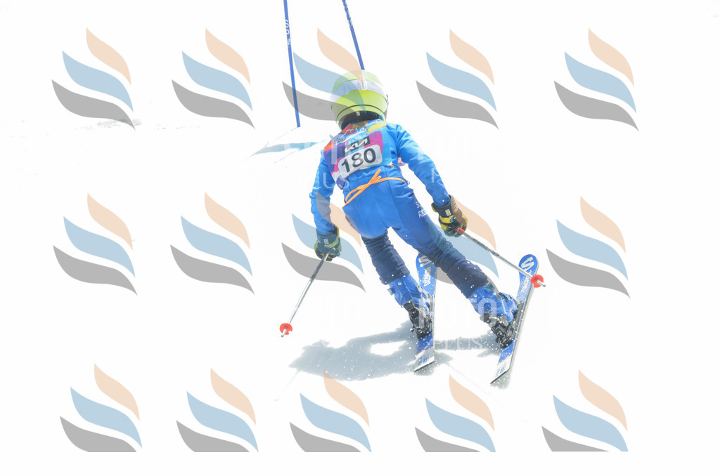 _ELE6671 | holidayphoto