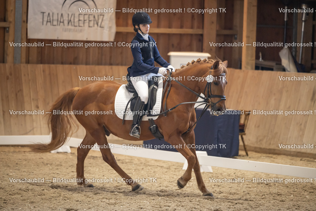 _D5A5741 | Emotionale Pferde- & People-Fotografie rund um Heidelberg, Leimen & Umgebung. Natürliche Fotos von Pferd, Mensch & Familie. Jetzt Termin sichern!