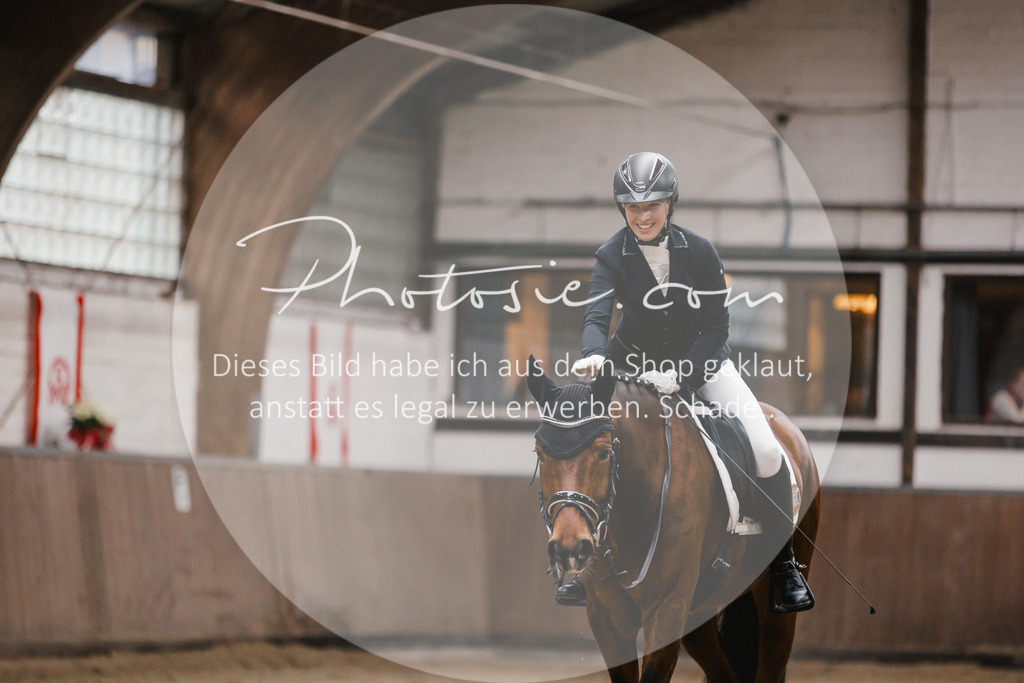 3I6A6574 | Stimmungsvolle Portraits und Reitsportfotografie im Ruhrgebiet und im Münsterland.

Pferdefotografie, Hundefotografie, Tierfotografie, Reportagen, Portraits von Tier und Mensch, Turnierfotografie in Bochum, Recklinghausen, Marl, Haltern am See, Dülmen.. - Realisiert mit Pictrs.com