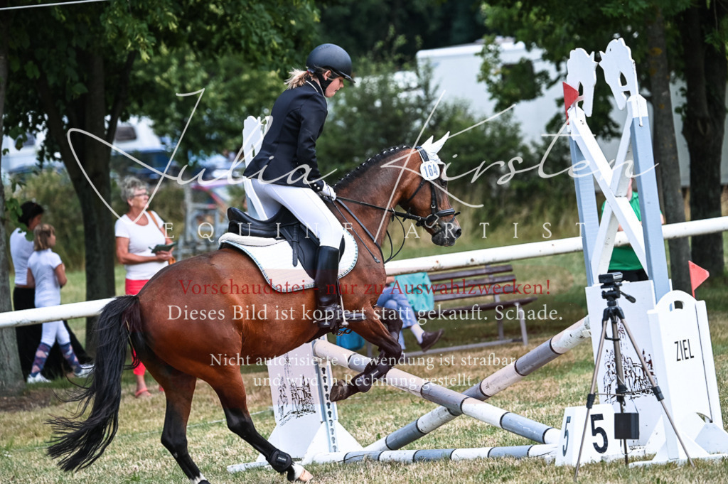 DSC_9796 | Pferde- und Turnierfotografie in Westsachsen. Pferdeportraits, Auftragszeichnungen und intuitive Kunst.