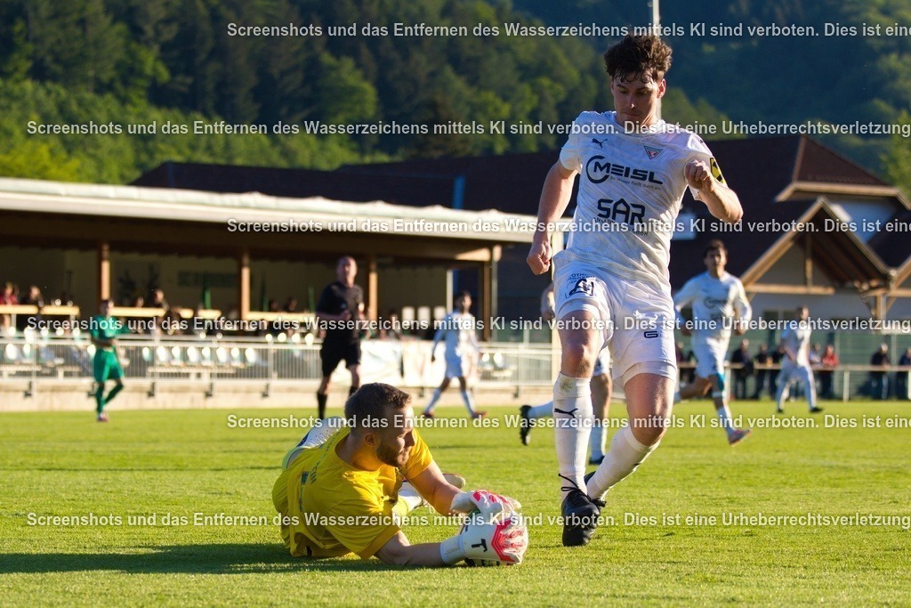 7K3A8364 | Professionelle Sportfotos aus Österreich. Für Sport und Presse – jetzt deine Fotos entdecken und bestellen!