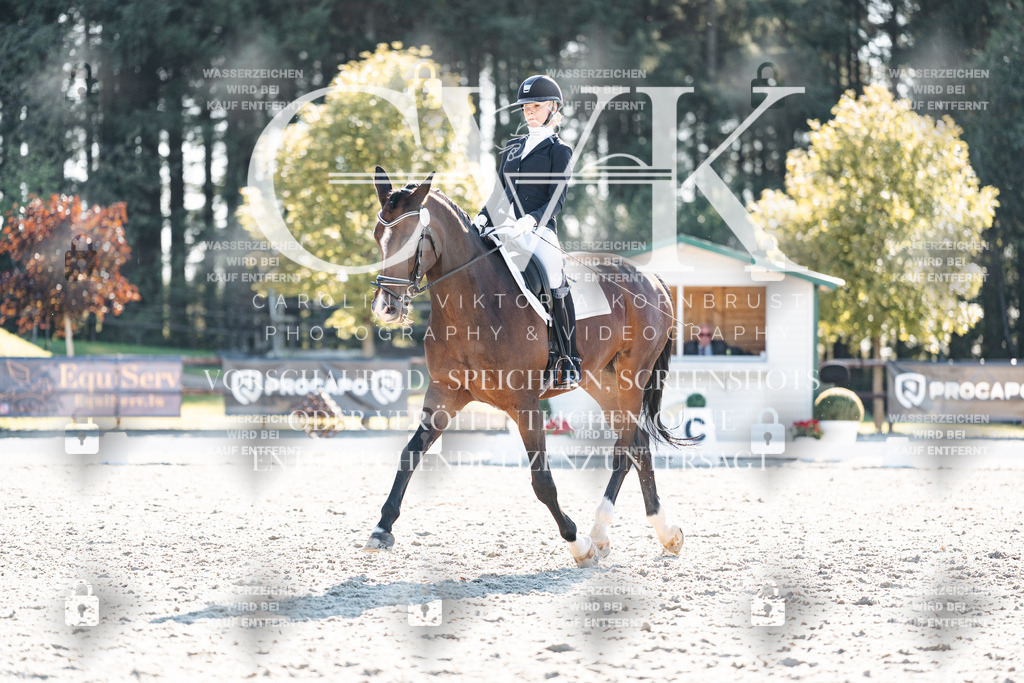 CK906484 | Turnierfotografie Pferdefotografie Trier Rheinland-Pfalz Pferdesport Reitsport Tierfotografie Sportfotografie Pferdevideo Pferdevideografie Equestrianvideography equestrianphotography  - Realisiert mit Pictrs.com