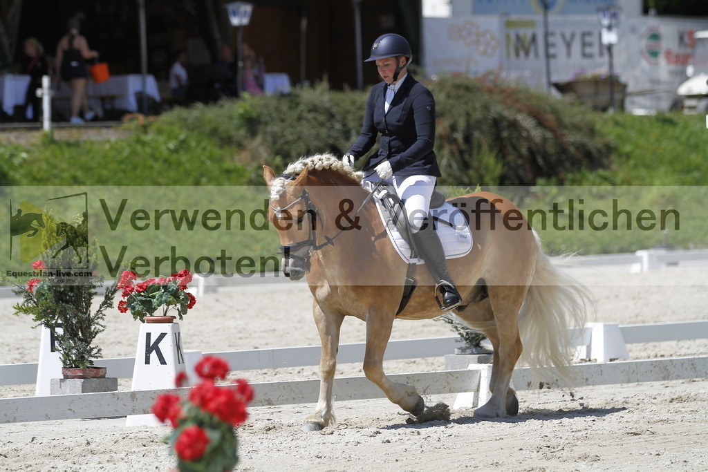 _MG_5274 | equestrian-live-com