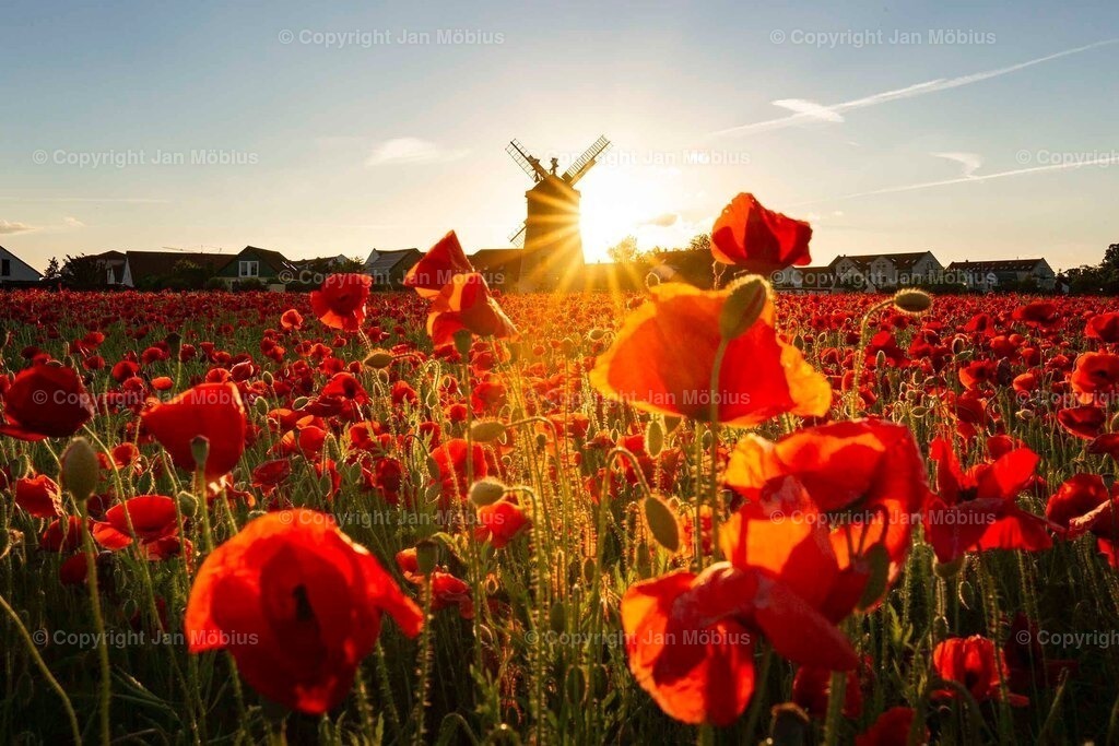 _M5D2875 | Leipzig Wandbilder Drucke Prints Leinwand Stadtmotive Leipzig Fotosdruck Kunstdrucke Bilder Leipzig Stadtansichten Acrylglasbilder Leipzig Wanddeko Fine Art Prints Wandbilder Büro Leipzig Bilder Praxis Zuhause Bilderdruck Poster Posterlounge Kunstdrucke - Realisiert mit Pictrs.com