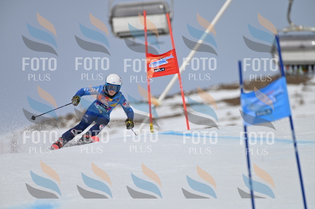 BGV_4984 | holidayphoto