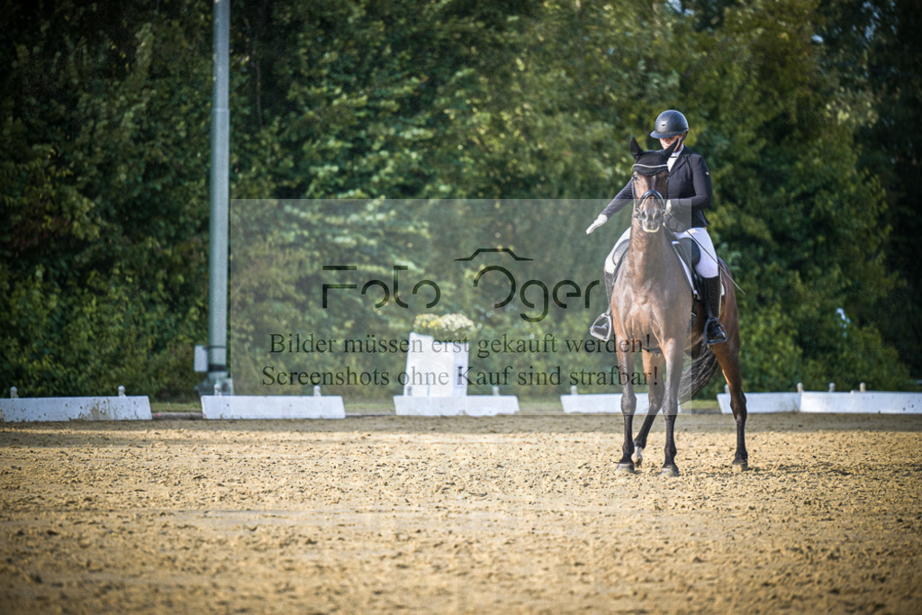 DOS_1394 | Entdecke hochwertige Reitturnierfotos von Foto Oger. Professionell, emotional und authentisch – jetzt Lieblingsmomente im Shop bestellen.Deutschlandweite Turnierfotografie. - Realisiert mit Pictrs.com