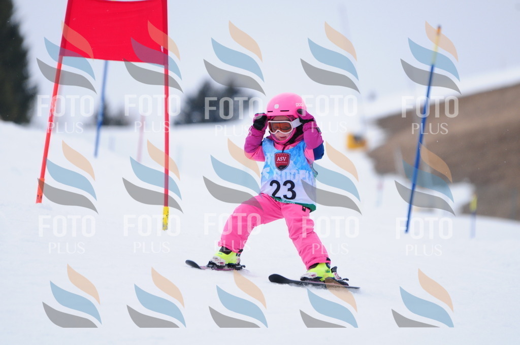 A3423 | holidayphoto