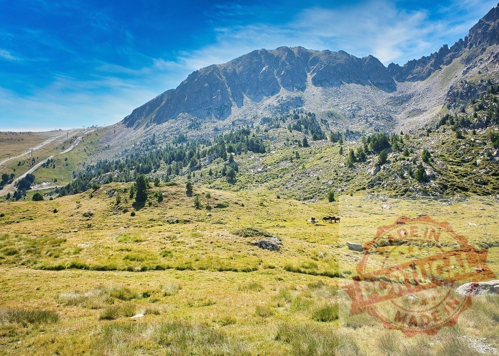 Wild horses grazing in Pyrenees mountain meadow | Wild horses are grazing in a green mountain meadow surrounded by rocky peaks under a blue sky - Realized with Pictrs.com