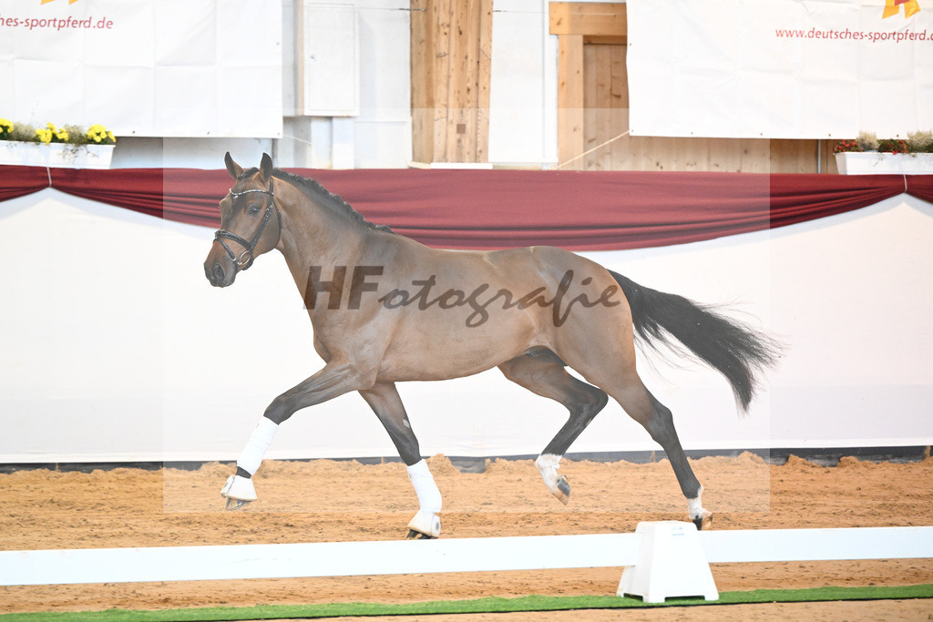 Kat-Nr. 3 v. Baron_Brors_66221576 | hf-fotografie - Realisiert mit Pictrs.com