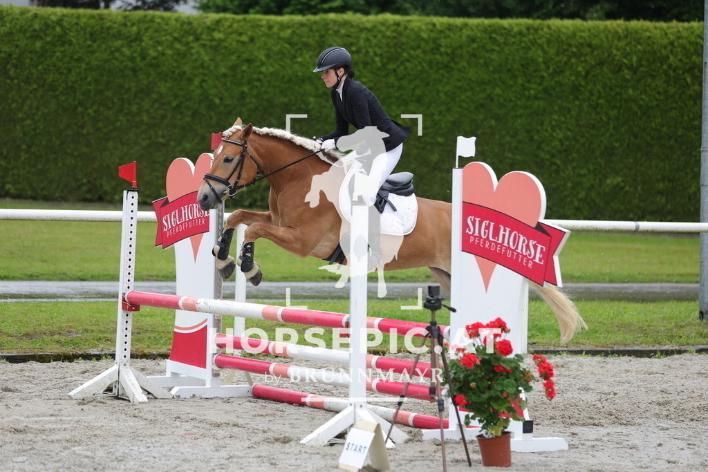 0P6A7948 | Willkommen bei Brunnmayr - Design & Fotografie – Ihrem Spezialisten für Reitturniere und Pferdeveranstaltungen in Oberösterreich, Salzburg und Bayern! Seit über 17 Jahren sind wir leidenschaftlich dabei.
