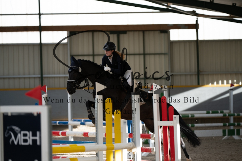 A7V02486 | Pferdefotograf