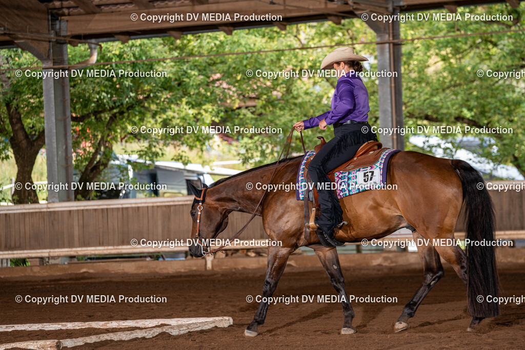 Erbach Tag 2-167 | dv-media-shop - Realisiert mit Pictrs.com