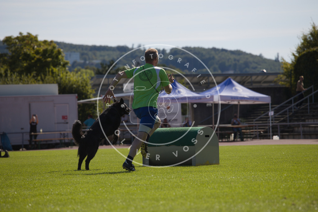 0L8A8797 | Hundefotografie, Tierfotograf, Pfotenfotografie, Fotoshooting Hund, Hunde Portrait, Hundesport, Hundeportraits, Heideshooting, Hunde, Sportfotograf, Hundefotograf, Turnierhundsport, THS,  - Realisiert mit Pictrs.com