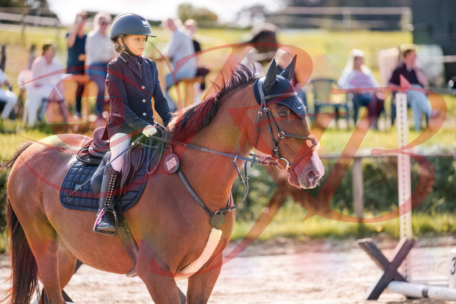 2026_10_03_Siefer-Hof_143840_Z81_09263003 | Professionelle Reitsport-, Turnier- und Eventfotografie von Robert Broda. Galerien mit ausgewählten und bearbeiteten Bildern direkt online ansehen und bestellen.