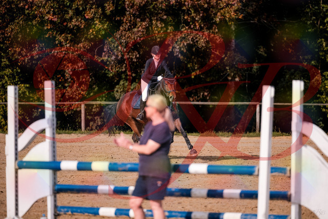 2026_10_03_Siefer-Hof_154158_Z81_59400006 | Professionelle Reitsport-, Turnier- und Eventfotografie von Robert Broda. Galerien mit ausgewählten und bearbeiteten Bildern direkt online ansehen und bestellen.
