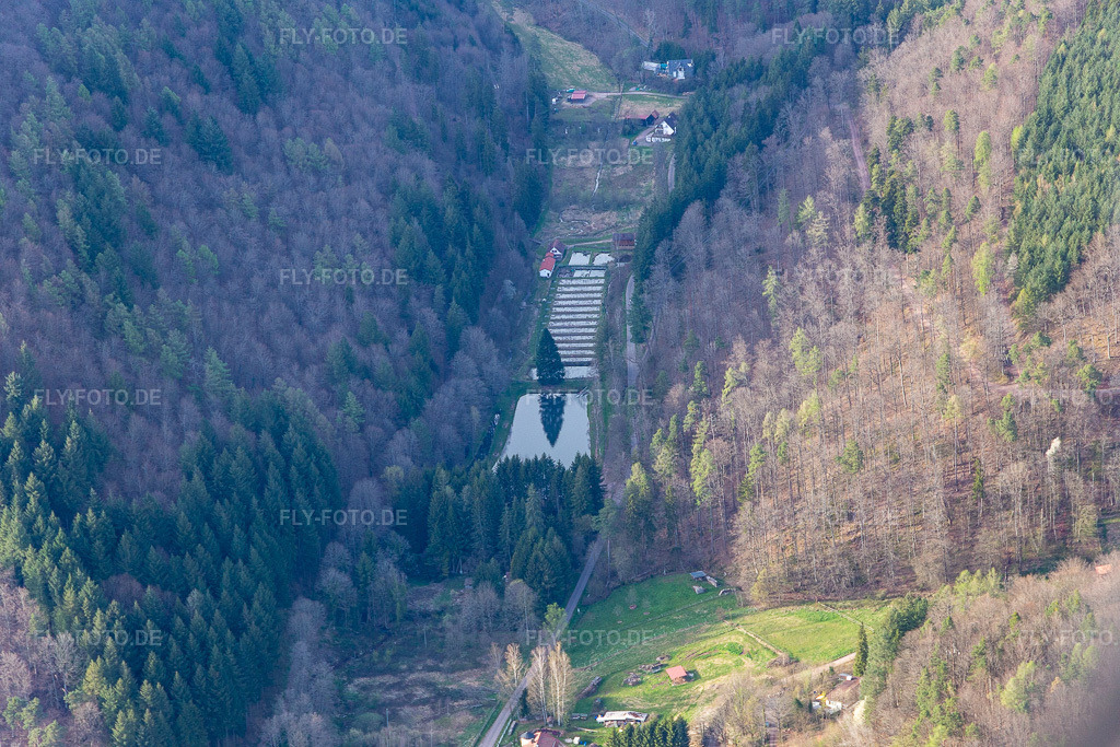 Luftbild: Pfälzer Wald Forellen Inh. Stefan Erber in Eußerthal im Bundesland Rheinland-Pfalz in Deutschland. – Foto: IMG_131122.jpg vom 12.04.2022 durch Werner Riehm/FLY-FOTO.de – Auflösung des Originals: 5472 x 3648 px – Pfälzer Wald Forellen Petrihof Angler-Park