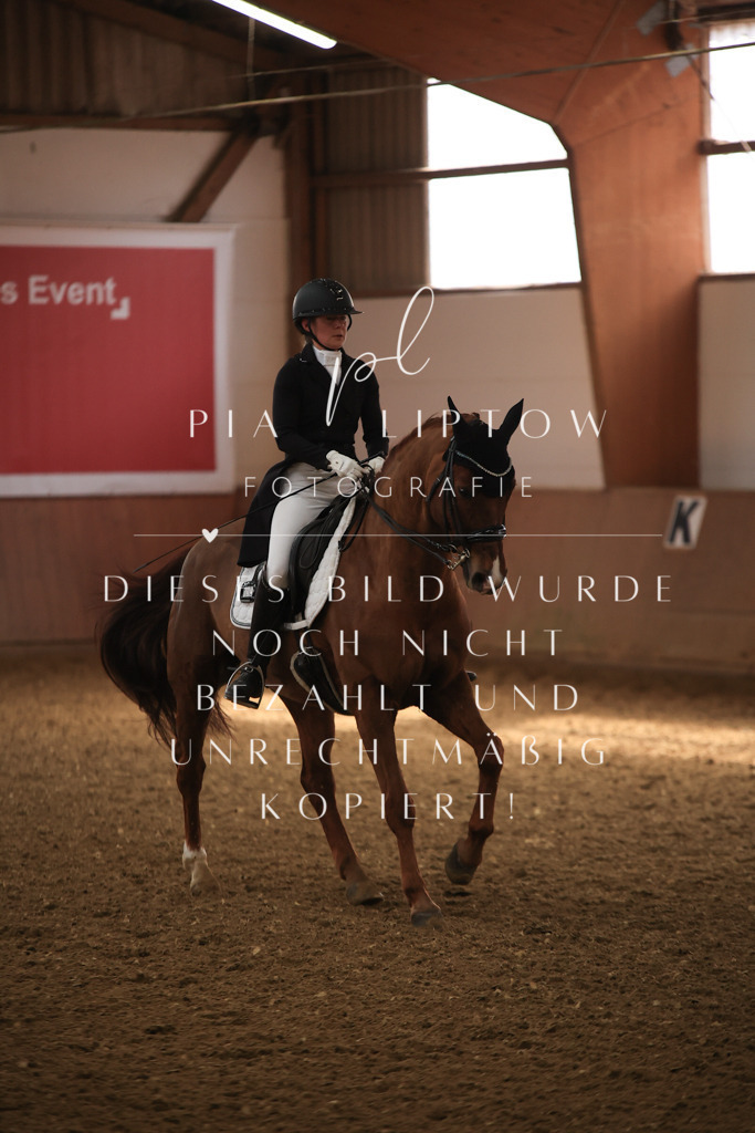 IMGT4810 | pl-fotografie