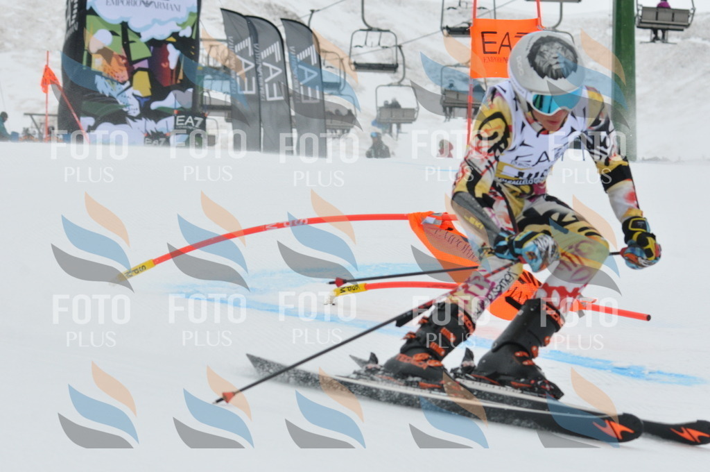 DSC_8924 | holidayphoto