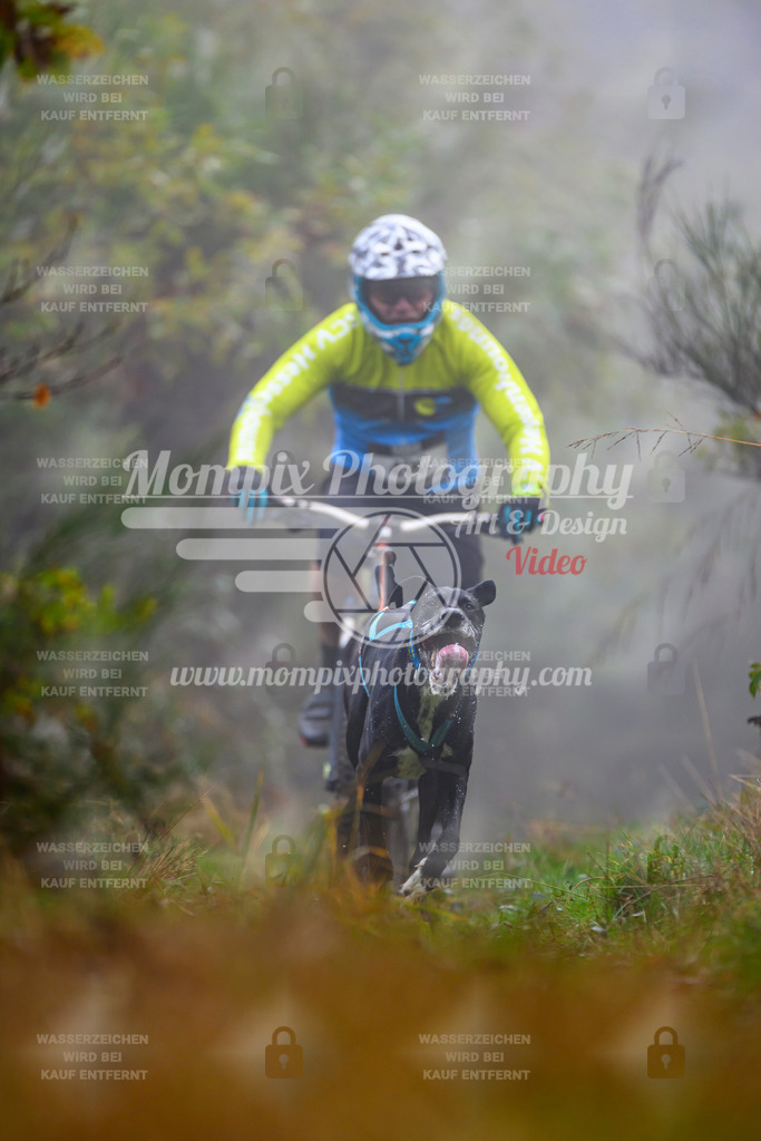 MompixPhotography_20TSB_E4_Bike-91 | PayLife