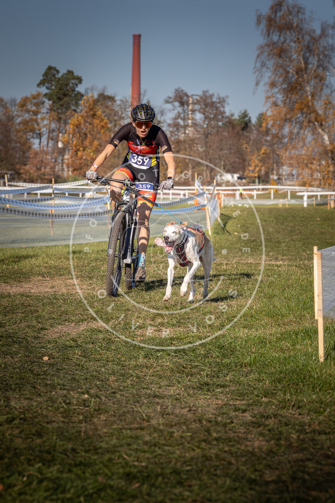 CaniXpix_0L8A6188 | Hundefotografie, Tierfotograf, Pfotenfotografie, Fotoshooting Hund, Hunde Portrait, Hundesport, Hundeportraits, Heideshooting, Hunde, Sportfotograf, Hundefotograf, Turnierhundsport, THS,  - Realisiert mit Pictrs.com