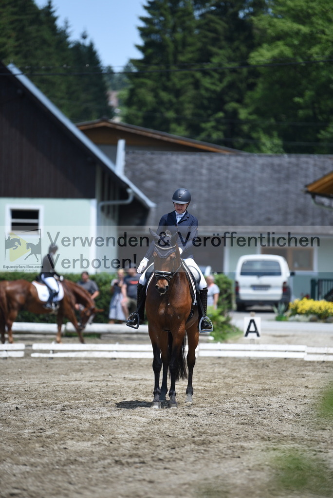 DSC_0453 | equestrian-live-com