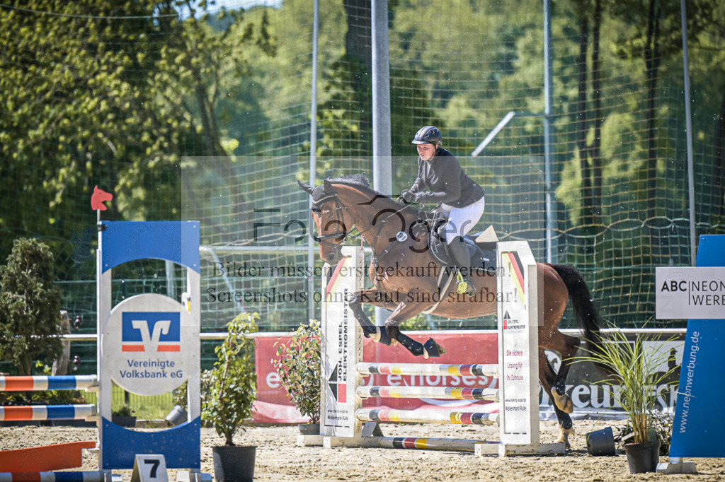 DOS_0108 | Entdecke hochwertige Reitturnierfotos von Foto Oger. Professionell, emotional und authentisch – jetzt Lieblingsmomente im Shop bestellen.Deutschlandweite Turnierfotografie. - Realisiert mit Pictrs.com
