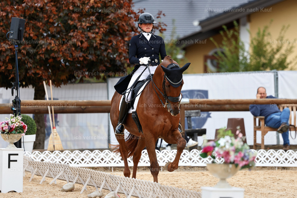 11-141-Dressur S___-Marixx-1828 | working equitationturnier fotograf videograf stoibphotography marixx film working equitation deutschland reitsport turnierfotografie eventfotografie equestrian events