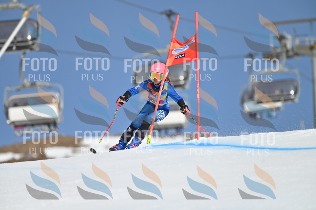 BGV_8209 | holidayphoto