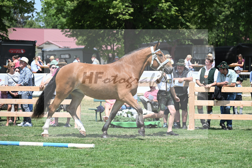 Kat-Nr. 38 Zora_Kneissl_20230586 | hf-fotografie - Realisiert mit Pictrs.com