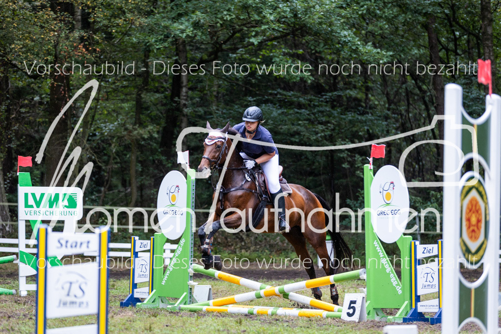 HB-JaD-027 | MomenTaufnahmen Pferdesportfotos