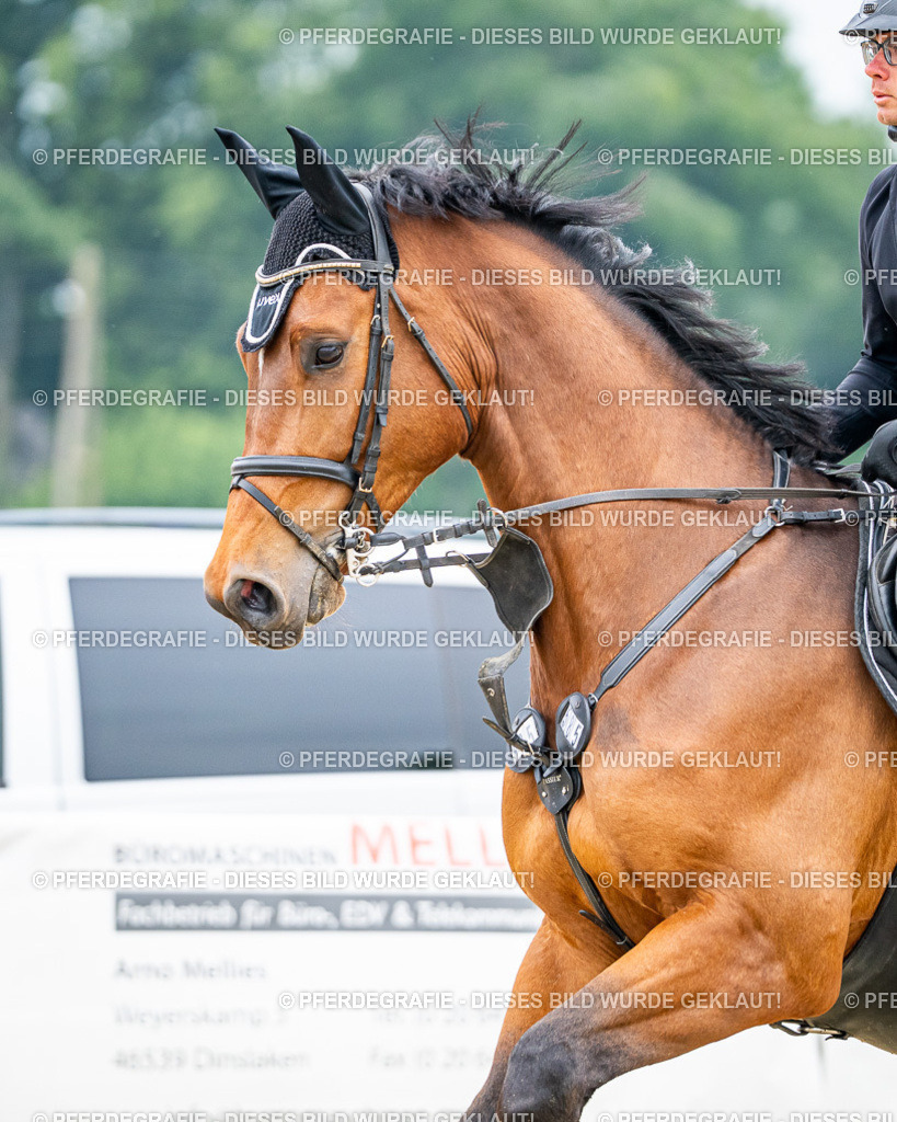 DSC00319 | Pferdegrafie