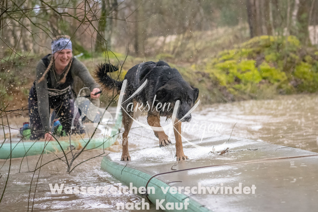 0906_ZZ90254-Bearbeitet | kk-dogfotos
