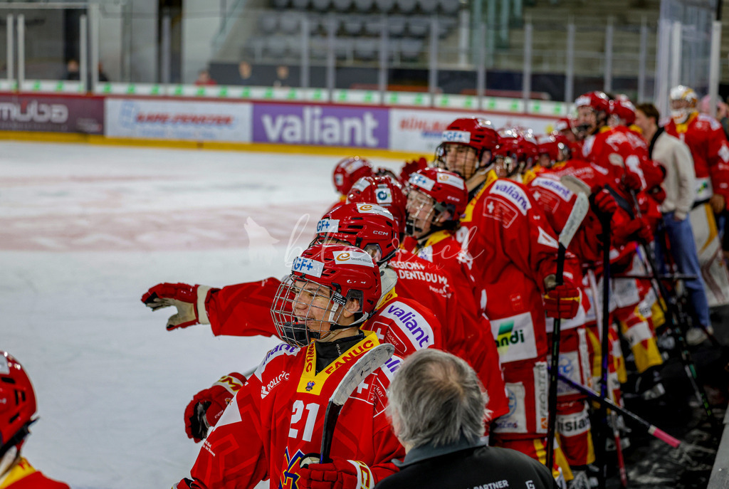EHCB vs HCD-1282 | Sportbilder, Sportfotograf, Hochzeits- und Eventfotografin, Flugshows, Portraits und Tiershooting, Aviation, Downhill, Nationalleague, Swissleague, International
