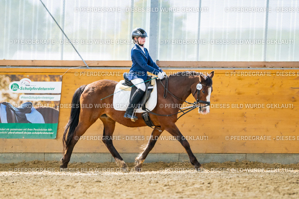 DSC00937 | Pferdegrafie