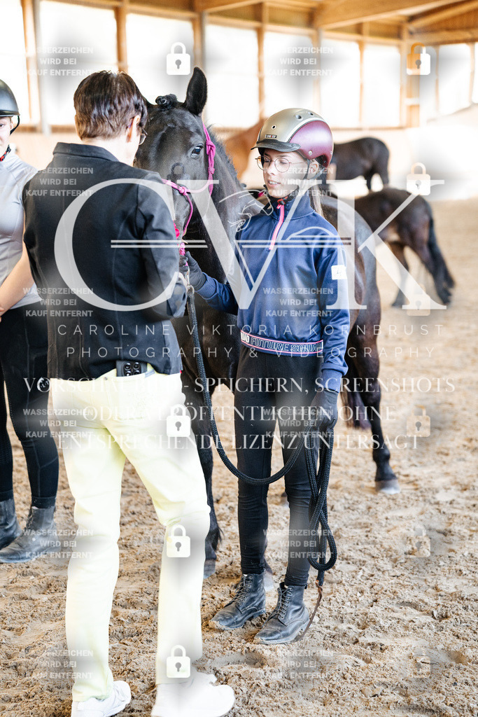 CK703187 | Turnierfotografie Pferdefotografie Trier Rheinland-Pfalz Pferdesport Reitsport Tierfotografie Sportfotografie Pferdevideo Pferdevideografie Equestrianvideography equestrianphotography  - Realisiert mit Pictrs.com