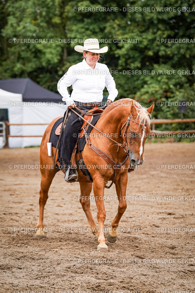 DSC06832 | Pferdegrafie