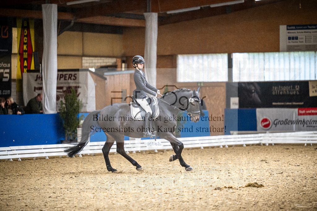 DOS_1174 | Entdecke hochwertige Reitturnierfotos von Foto Oger. Professionell, emotional und authentisch – jetzt Lieblingsmomente im Shop bestellen.Deutschlandweite Turnierfotografie. - Realisiert mit Pictrs.com